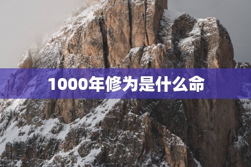 1000年修为是什么命