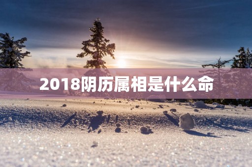 2018阴历属相是什么命