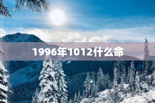 1996年1012什么命
