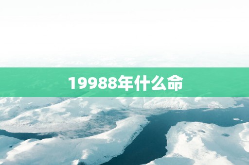 19988年什么命