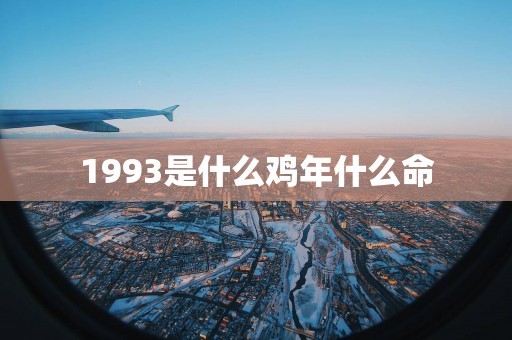 1993是什么鸡年什么命