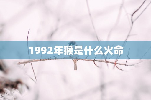 1992年猴是什么火命