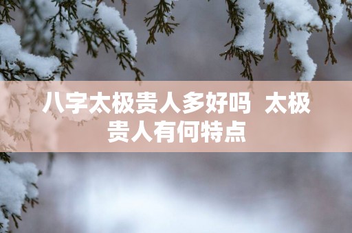 八字太极贵人多好吗  太极贵人有何特点