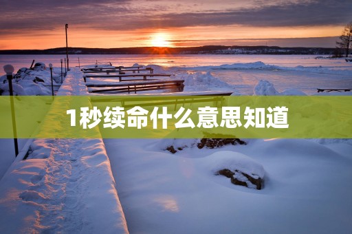 1秒续命什么意思知道