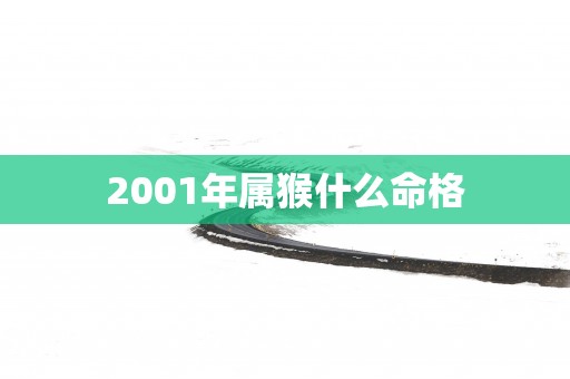 2001年属猴什么命格