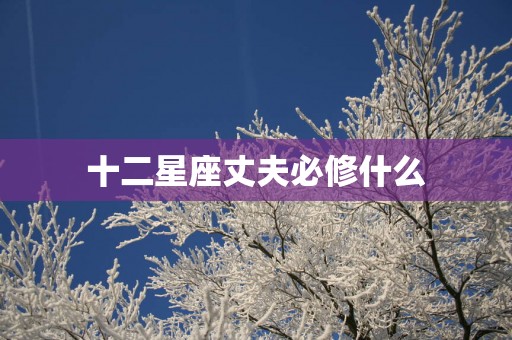 十二星座丈夫必修什么