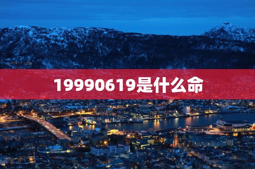 19990619是什么命