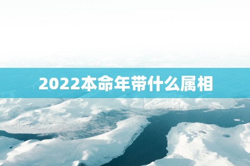 2025本命年带什么属相