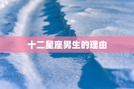十二星座男生的理由