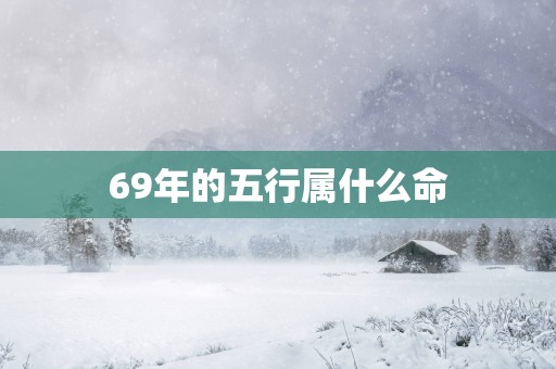 69年的五行属什么命