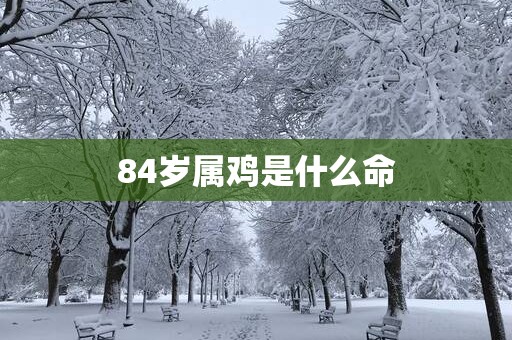 84岁属鸡是什么命