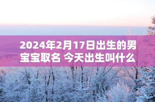 2025年2月17日出生的男宝宝取名 今天出生叫什么名字好