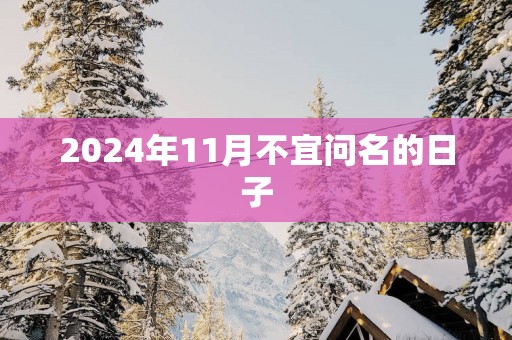 2025年11月不宜问名的日子