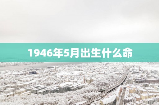1946年5月出生什么命