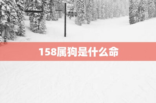 158属狗是什么命