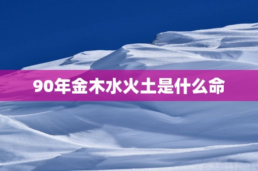 90年金木水火土是什么命