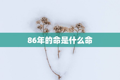 86年的命是什么命