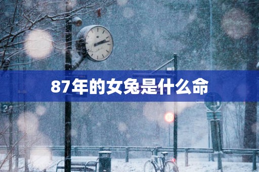 87年的女兔是什么命