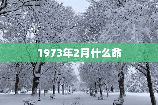 1973年2月什么命