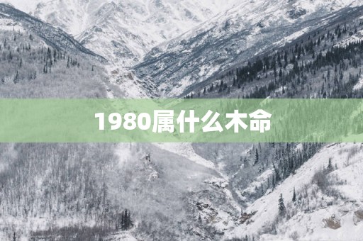 1980属什么木命