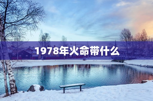 1978年火命带什么