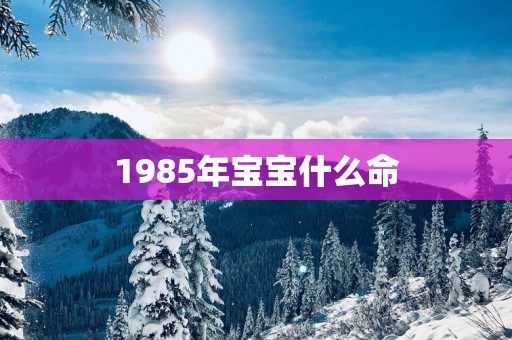 1985年宝宝什么命