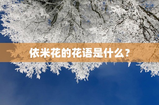 依米花的花语是什么？