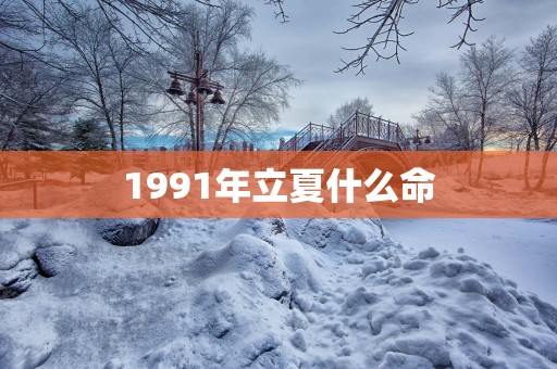 1991年立夏什么命