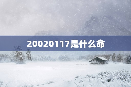 20020117是什么命