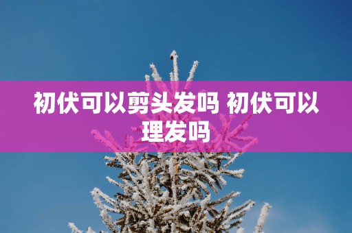 初伏可以剪头发吗 初伏可以理发吗