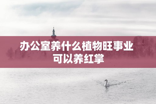 办公室养什么植物旺事业 可以养红掌