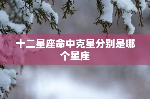 十二星座命中克星分别是哪个星座