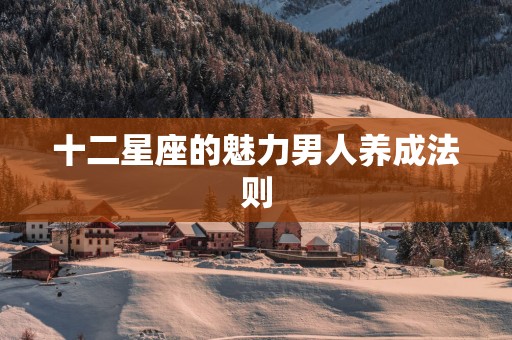 十二星座的魅力男人养成法则