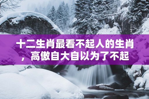 十二生肖最看不起人的生肖，高傲自大自以为了不起