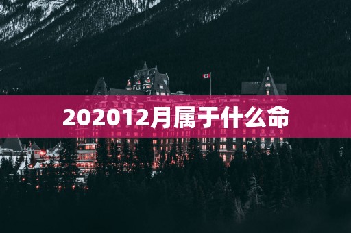 202512月属于什么命