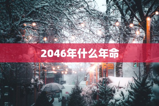 2046年什么年命
