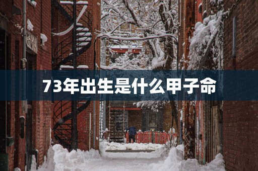 73年出生是什么甲子命
