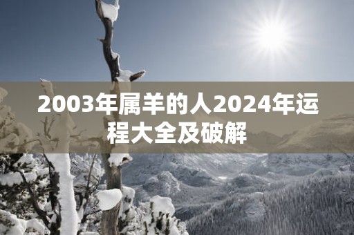 2003年属羊的人2025年运程大全及破解