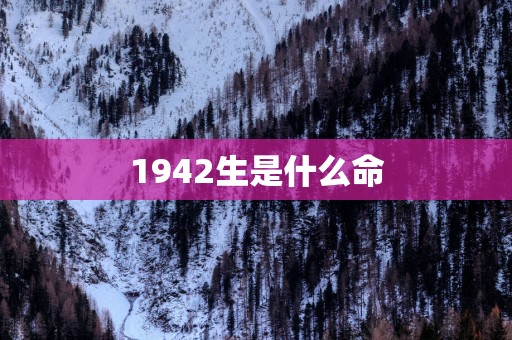 1942生是什么命