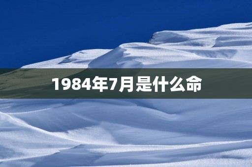 1984年7月是什么命