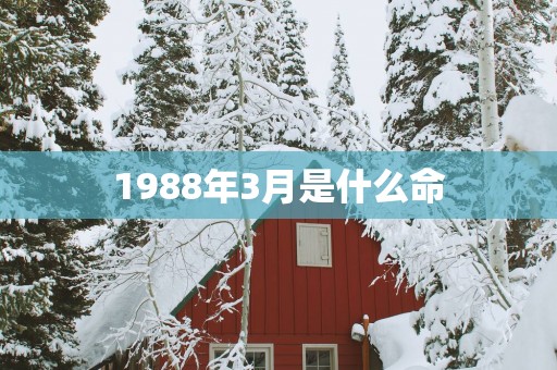 1988年3月是什么命