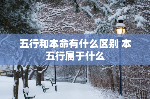 五行和本命有什么区别 本五行属于什么