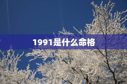 1991是什么命格