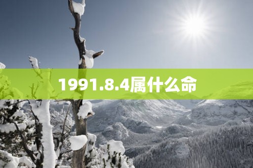 1991.8.4属什么命
