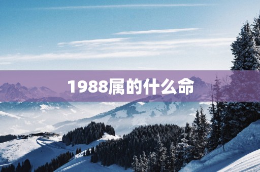 1988属的什么命