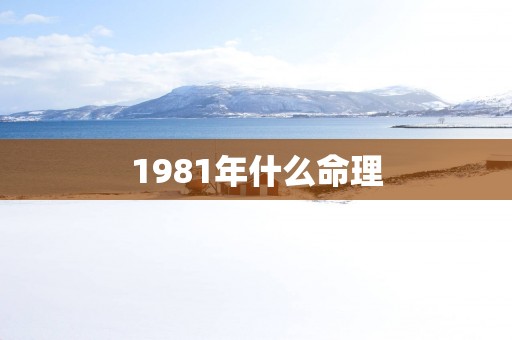 1981年什么命理