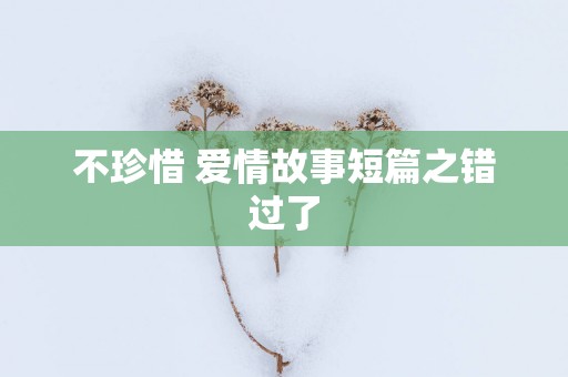 不珍惜 爱情故事短篇之错过了