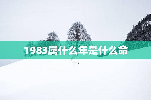 1983属什么年是什么命