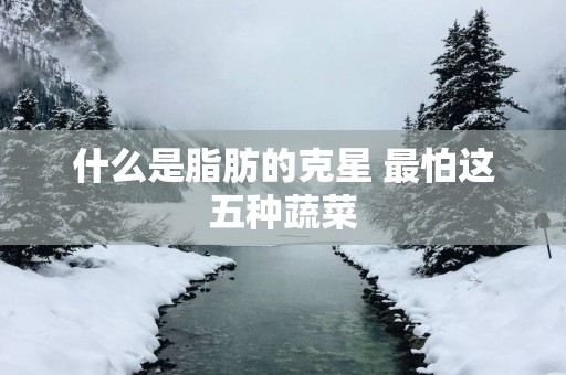 什么是脂肪的克星 最怕这五种蔬菜