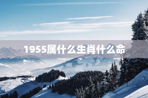 1955属什么生肖什么命